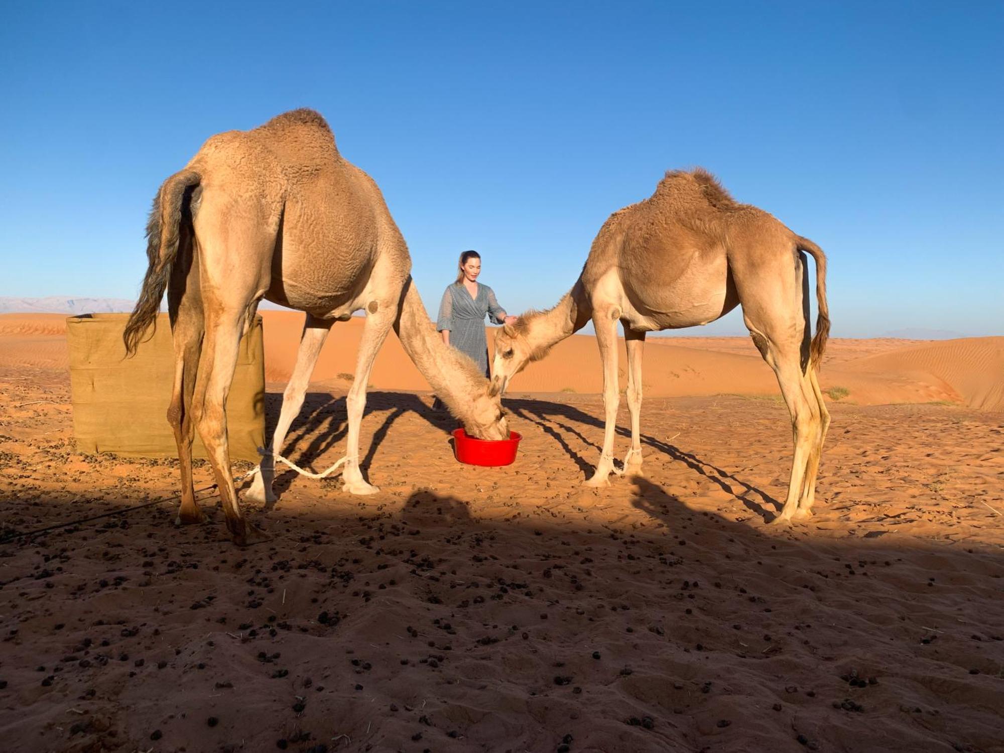Hotel Wahiba Bedouiens Privae Camp Badīyah Exterior foto